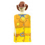 WESTERN COWBOY COSTUME
