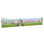 STICKY WICKY ALL ROUNDER CRICKET GAME