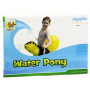 Water Pony