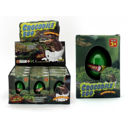 GROWING CROCODILE IN EGG
