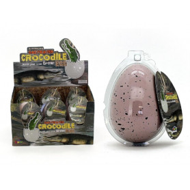 LGE GROW SALTWATER CROC IN EGG