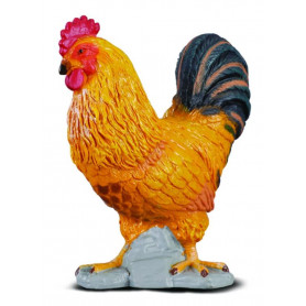 COLLECTA - COCKEREL (S)
