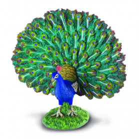 COLLECTA - PEACOCK (L)