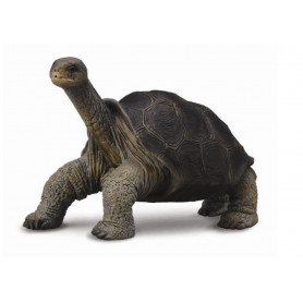 COLLECTA - TORTOISE PINTA ISLAND (GEORGE) (M)