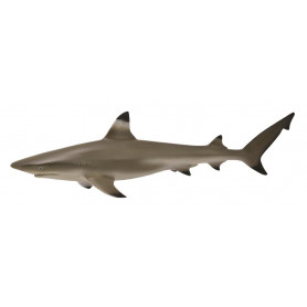 COLLECTA - BLACKTIP REEF SHARK (M)