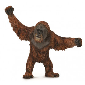 COLLECTA - ORANGUTAN (L)