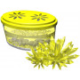 Crystal Growing - Yellow