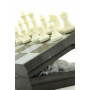 Magnetic Chess 10''