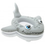 Intex Pool Cruiser -Assorted