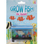 Grow Fish In Tank- Assorted