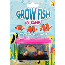 Grow Fish in Tank