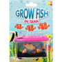 Grow Fish in Tank