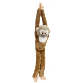 squirrel monkey hanging