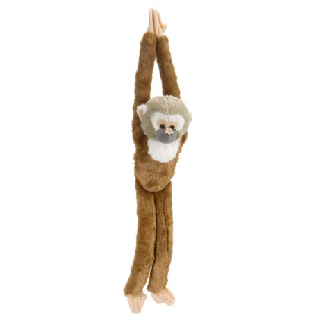 squirrel monkey hanging