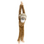 squirrel monkey hanging