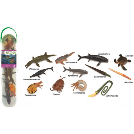 Collecta Prehistoric Marine Tube