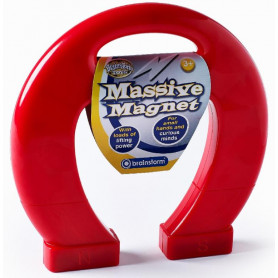 BrainS Massive Magnet