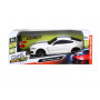 Maisto Tech 1:24 R/C Car Assortment 12 pce