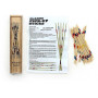 WOODEN PICK UP STICKS IN WOODEN BOX (31PCS)