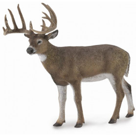 COLLECTA WHITE-TAILED DEER (L)