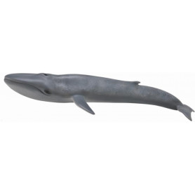 COLLECTA BLUE WHALE (XL)