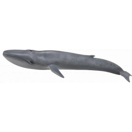 COLLECTA BLUE WHALE (XL)