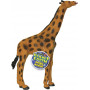 P.EARTH JUNGLE PDQ (12)