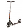 Black Adult Micro Scooter