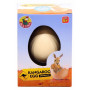 Jack in The Box Growing Pet Kangaroo Egg