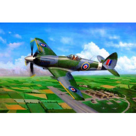 TRUMPETER 1/48 Supermarine Spiteful F.MK.14 Fighter