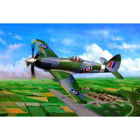 TRUMPETER 1/48 Supermarine Spiteful F.MK.14 Fighter