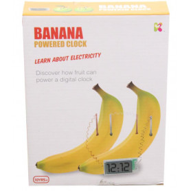 Banana Powered Clock Experiment Kit