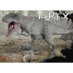 TYRANASAUROUS REX DINOSAUR