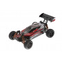 WOLF 2 1/10 4WD BUGGY