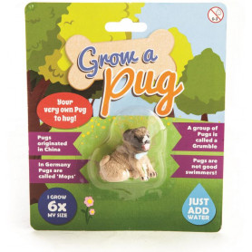 GROW A PUG 1/12/144 #12