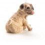 GROW A PUG 1/12/144 #12