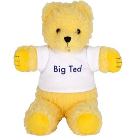 BIG TED BEANIE 24cm