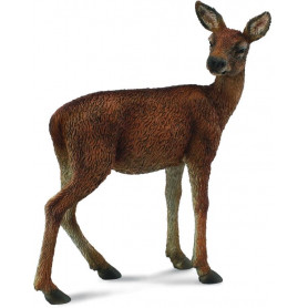 COLLECTA - RED DEER HIND (M)