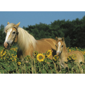 Ravensburger - Happy Horses Puzzle 200pc