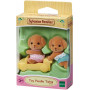 SF - Toy Poodle Twins