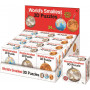 Worlds Smallest 3d Puzzles