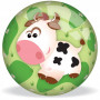 Animal Character Balls (inflated) - mixed pack