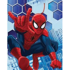 BAG LARGE SPIDER MAN