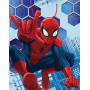 BAG LARGE SPIDER MAN