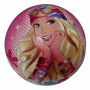 Licensed 9" Playballs Asstd