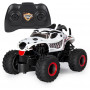 Monster Jam 1:24 RC Assortment