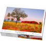 GOLIATH RED CENTRE DREAMING NT 2000pce