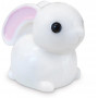 BUNNY LIP GLOSS (24/DISP)
