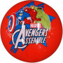 INFLATED 9"Balls Assorted Licensed 36pcs in Display