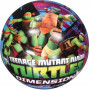 INFLATED 9"Balls Assorted Licensed 36pcs in Display